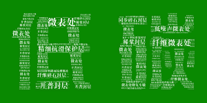 九游官方端网页版登录入口邀您共享低碳“盛宴”